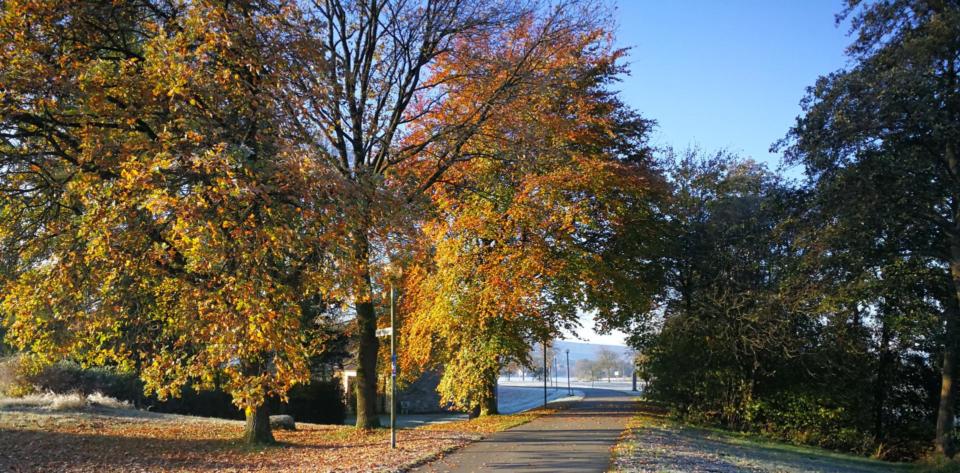 Herbst am Uferweg