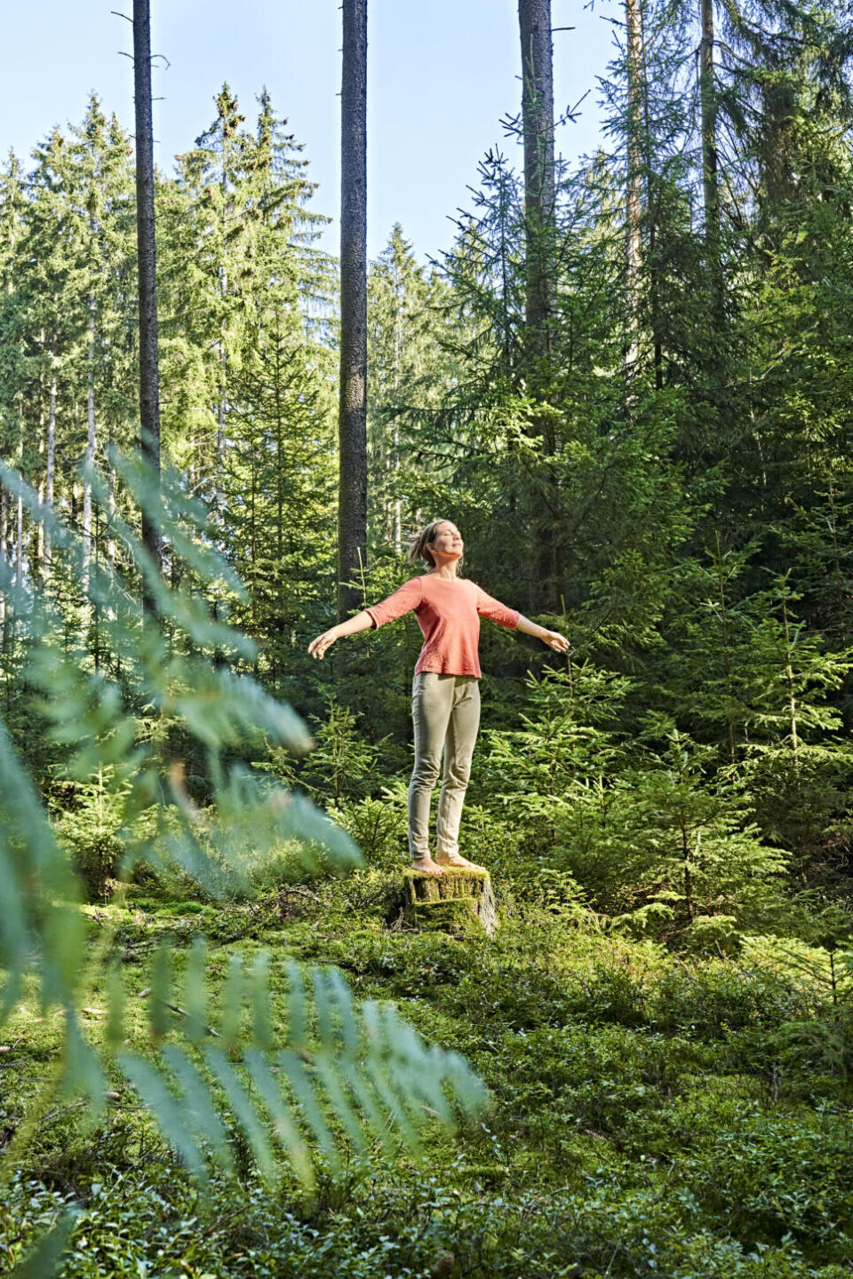 Ein Wald(iger) Abend mit Natha­lie – abgesagt