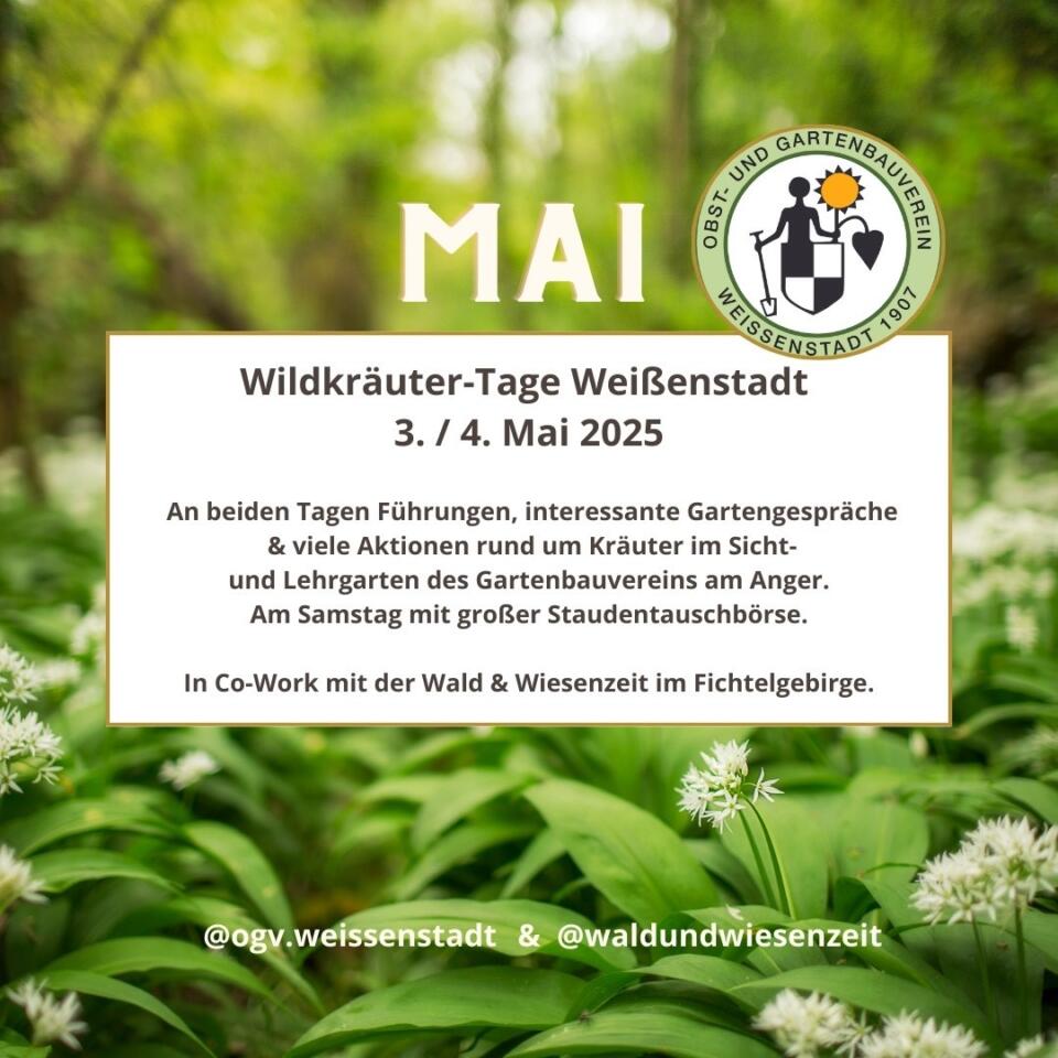 Wild­kräu­ter-Tage in Weißenstadt